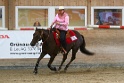 14_Greenhorn-Greenhorse Reining